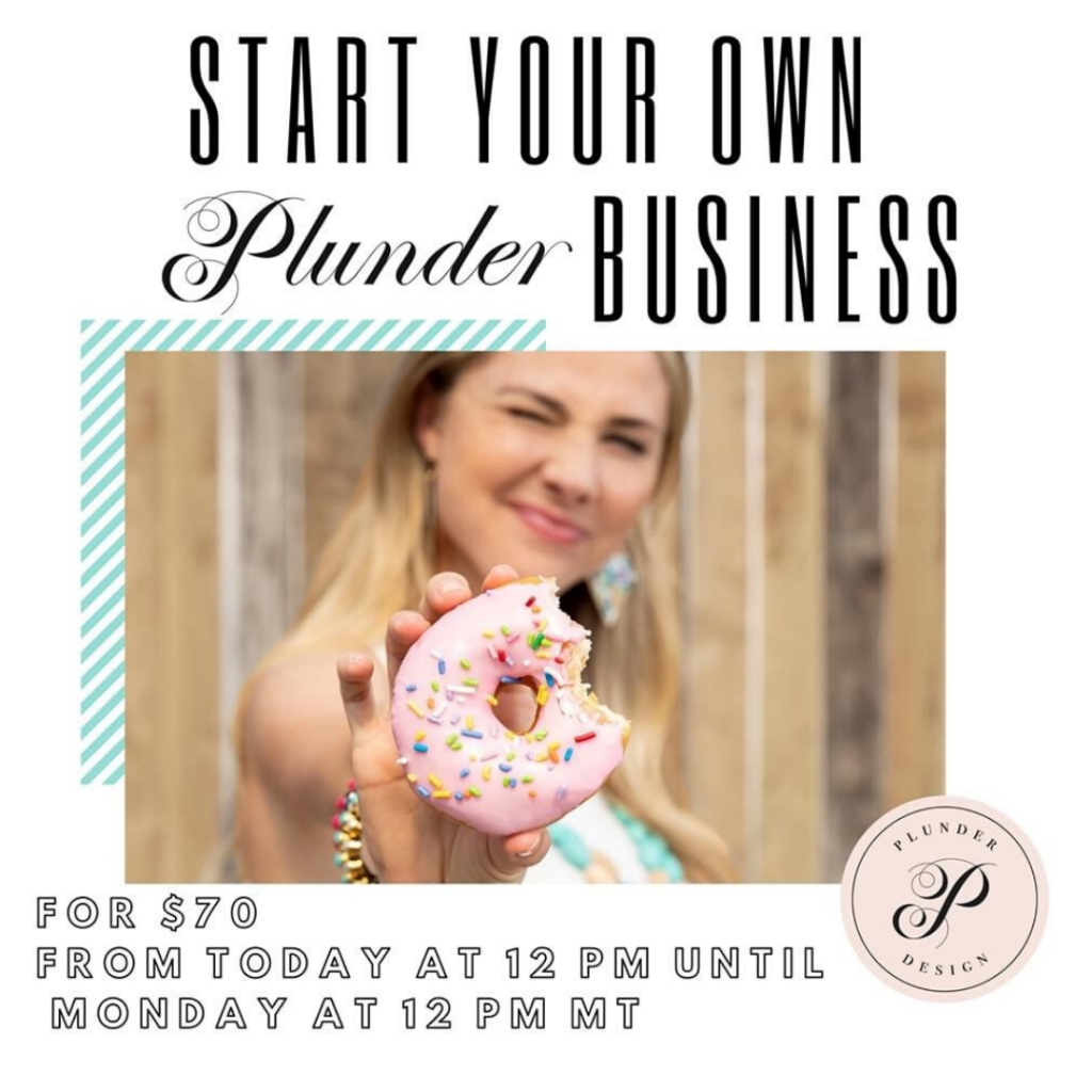 Start your own Plunder business 
