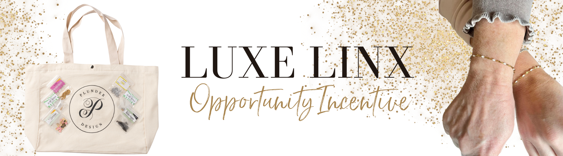 Luxe Linx Permanent Jewelry | The LaForte's